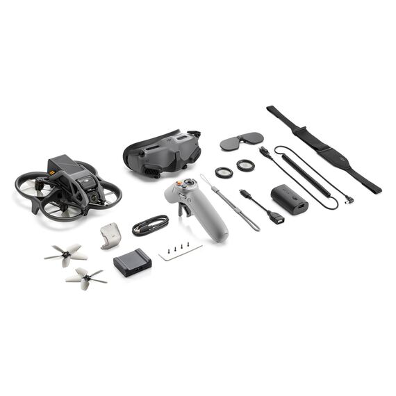 Квадрокоптер DJI Avata Pro-View Combo (Motion Controller 2), Комплектация: Pro-View Combo 2, изображение 2