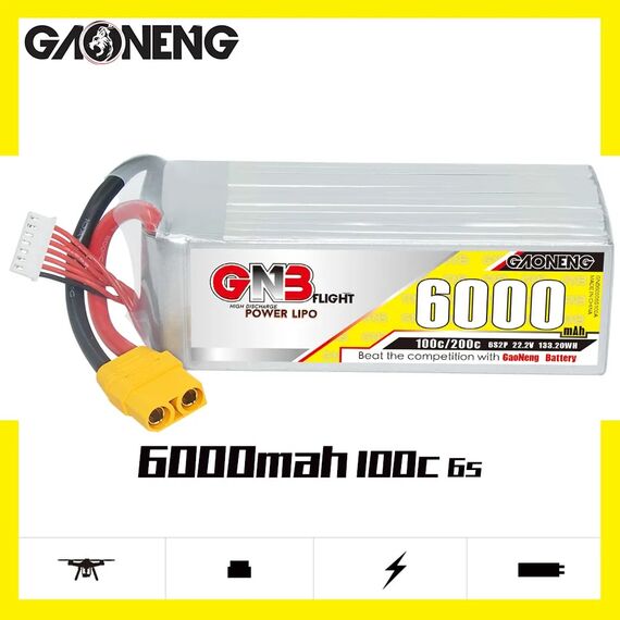 Аккумулятор GNB 6S 6000mAh 100C 22.2V LiPo (XT60)